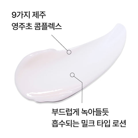Innisfree Perfect 9 Intensive Lotion 160ml