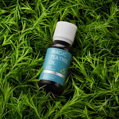 Blancnature 5x High-Concentration Magic Tea Tree Oil 20ml