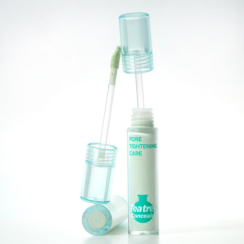 Chosungah Beauty Chochoslab 2.0 Tea Tree Pore Tightening Care Concealer 4g