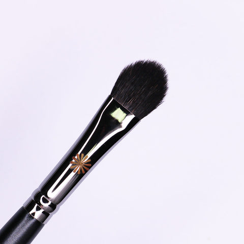 Picasso 205A Eyeshadow