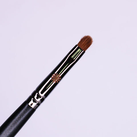 Picasso 711 Eyeshadow