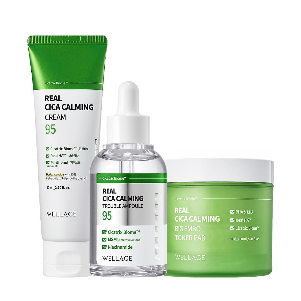 Wellage Real Cica Calming 95 Trouble Ampoule 50ml + Big Embo Toner Pad 160ml (70 pads) + Cream 50ml ? 3-Piece Set