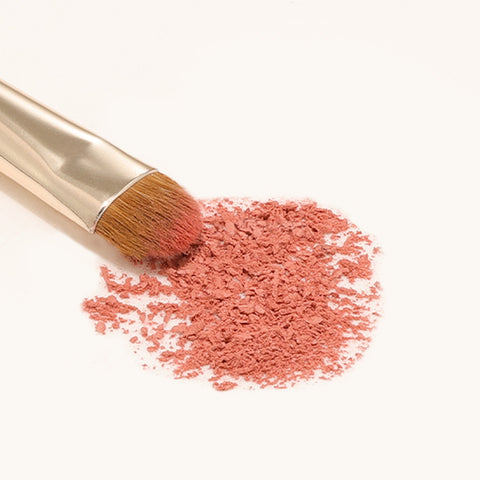 The Tool Lab 226 Eyeshadow Makeup Brush Detail