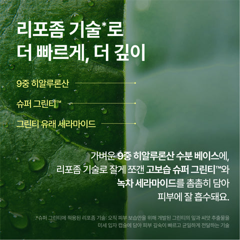 Innisfree Green Tea Ceramide Milk Essence 160ml (3 Pack)