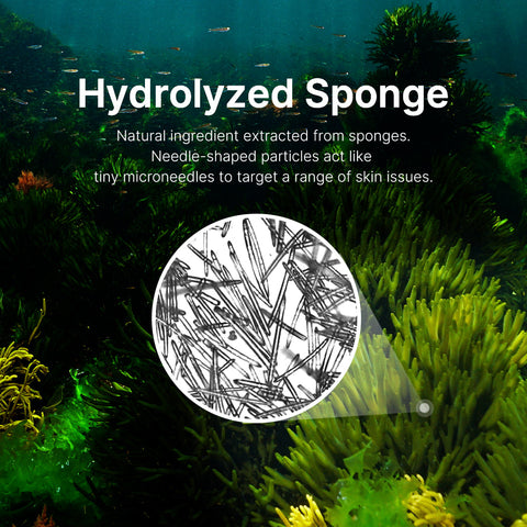 Medicube One Day Exosome Shot Pore Ampoule 25000 13ml