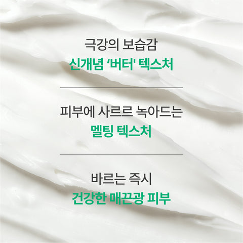 Innisfree Green Tea Ceramide Butter Moisture Cream 30ml