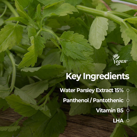 Soonsu Beauty Pantothenic Water Parsley Pad 60pads texture close-up