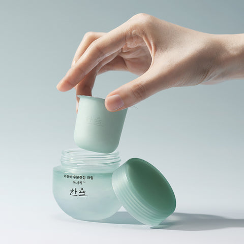 Hanyul Pure Aretemisia Calming Moisture Cream Full Size + Refill Set 115 ml