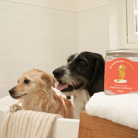 Donggubat Dog Spa Moisturizing Carbonated Bath Soak