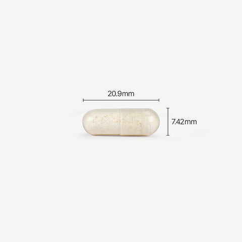 Phytotics Yellow Women's Vaginal-Origin Probiotics 500mg x 30 Capsules 12-Pack