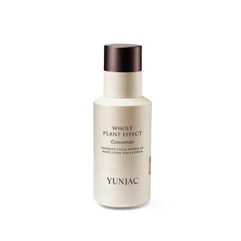 YUNJAC Jeoncho Concentrate 40ml