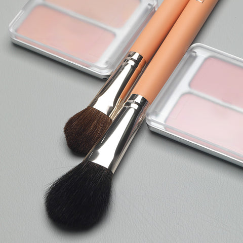The Tool Lab Blurring Fixing Duo Blusher & Powder Brush Set