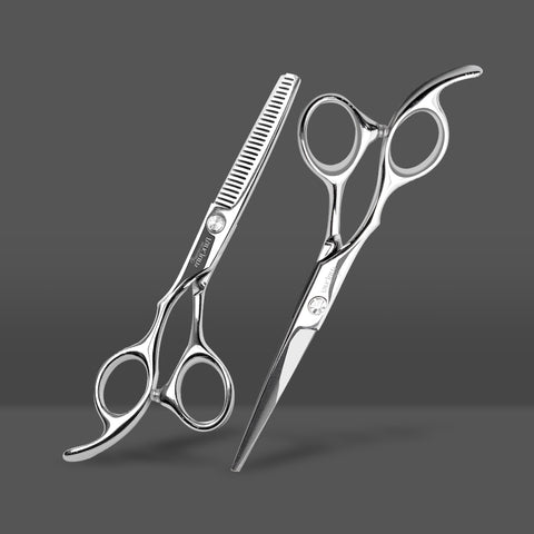 ParkJun Beauty Lab Professional Hair Cutting & Thinning Scissors 2-Piece Set