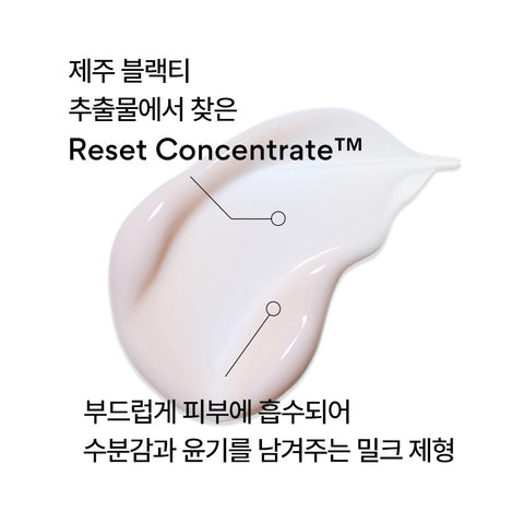 Innisfree Black Tea Youth Enhancing Skin Care 2-Piece Set