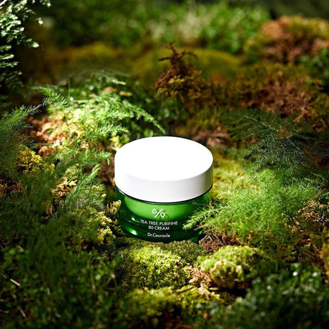 Soonsu Beauty Tea Tree Purifine Cream texture close-up