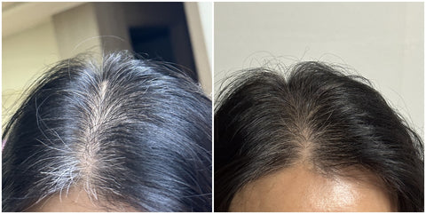 MODAMODA Zero Gray Black Shampoo 10 - 300g x2 (Includes 2 Water Dye Sachets and Dye Kit)