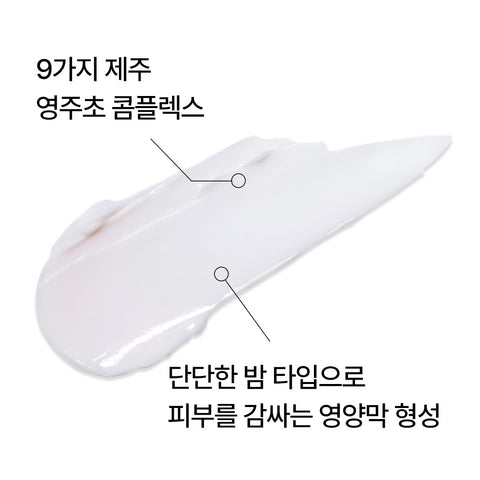 Innisfree Perfect 9 Intensive Cream 60ml