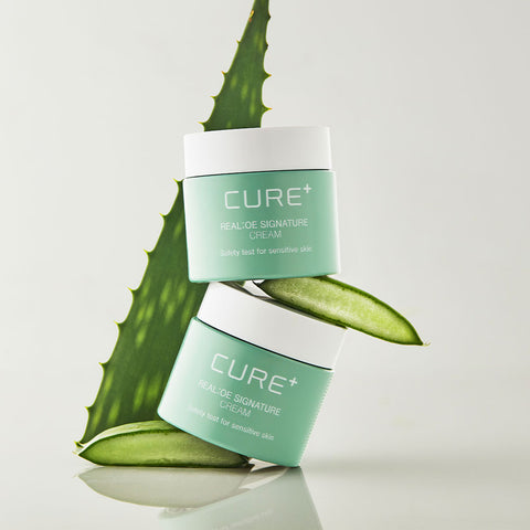 Kim Jeong Moon Aloe Cure Real Aloe Signature Cream 55ml (2 Pack)