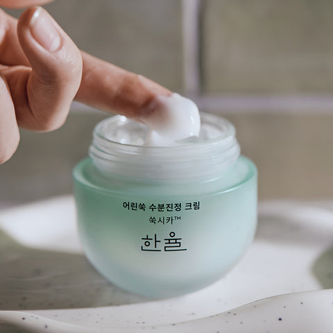 Hanyul Pure Artemisia Fresh Calming Cream 55ml + 2 Refills