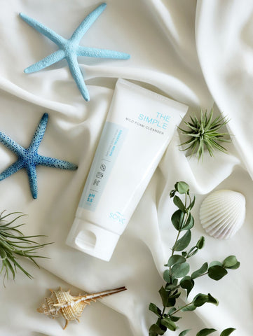 Scinic The Simple Mild Foam Cleanser 120ml (2 Pack)