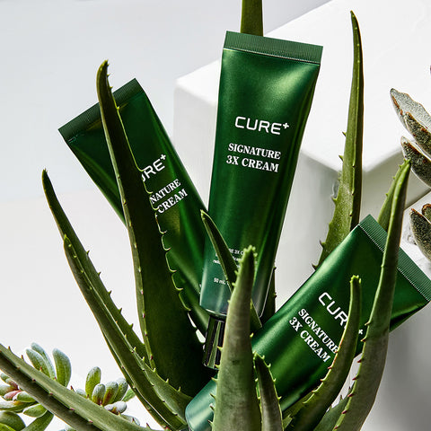 Kim Jeong Moon Aloe Cure Signature 3X Cream 50ml (2 Pack)
