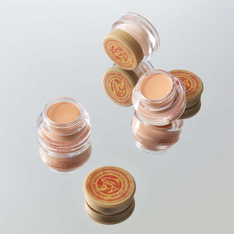 Skinfood Salmon Dark Circle Concealer 10g