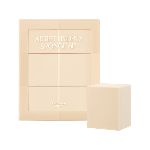 Picasso Artist Hydro Sponge 6P