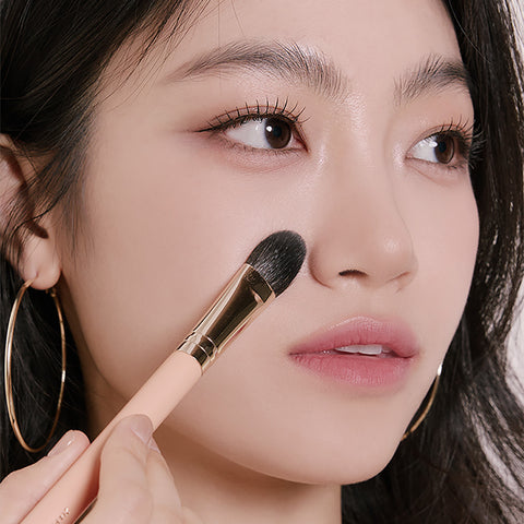 The Tool Lab Nasolabial Wrinkle Eraser Matte Powder Blush 163 (Multi Makeup Brush)