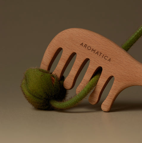 Aromatica Wooden Scalp Gua Sha 53 x 140mm
