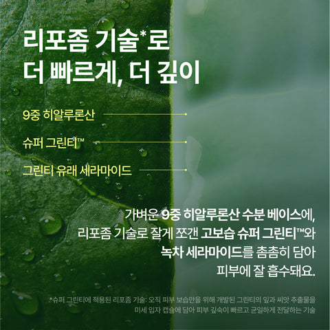 Innisfree Green Tea Ceramide Milk Essence 160 ml (2 Pack)