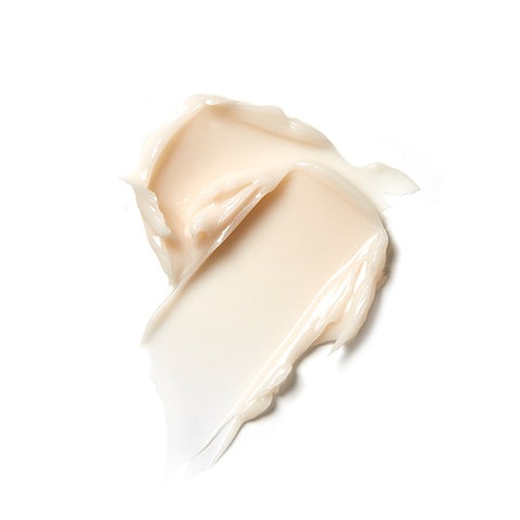 MISSHA Time Revolution Prime Stem 100 Eye Cream 25ml (2 pack)