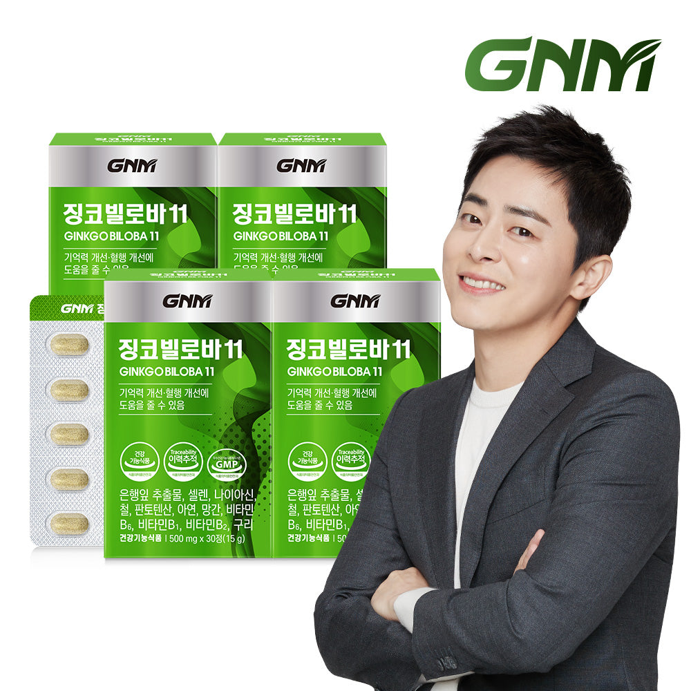 GNM Ginkgo Biloba 11 (4 Pack) - Ginkgo Leaf Extract with B Vitamins, Zinc & Pantothenic Acid