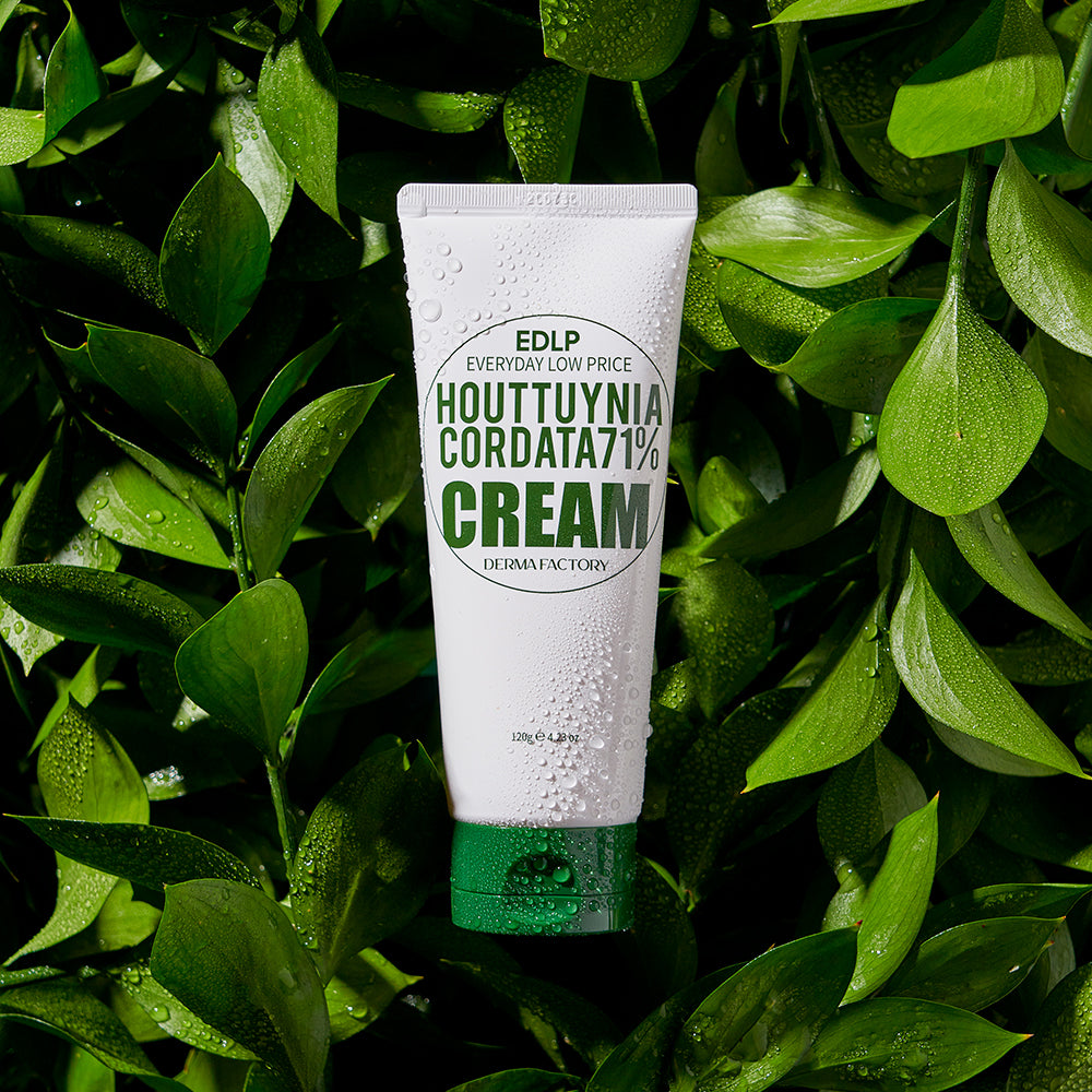 Derma Factory EDLP Houttuynia 71% Moisture Cream 120g