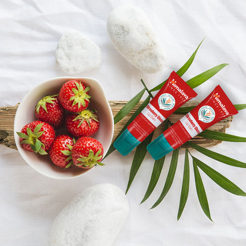 Himalaya High-Moisture Lip Balm 10 g (5 Pack) (Original Vegan x2 + Cocoa + Strawberry + Honey)