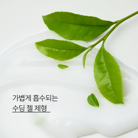 Innisfree Isle Number Body Lotion (Green Tea Essence) 300 ml