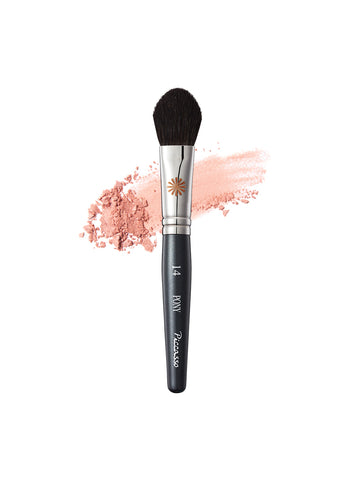Picasso PONY14 MINI Blusher