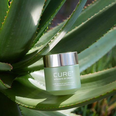 Kim Jeong Moon Aloe Cure Intensive 2X Cream 50ml (2 pack)