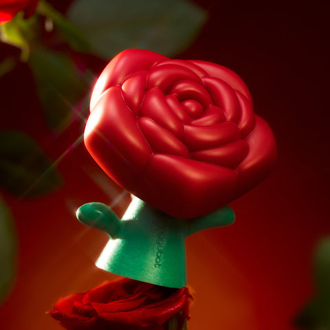 Donggubat Perfume Bar Rose Gift Set