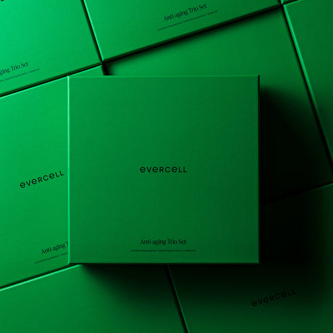 Evercell Anti-Aging Basic 3-Piece Set (Essence + Emulsion + Ampoule) Stem Cell Culture Extract Skincare