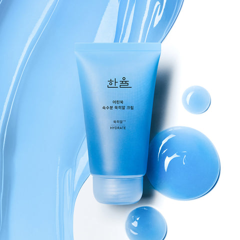 Hanyul Pure Artemisia Ssuk-Hyal Cream 60ml Set