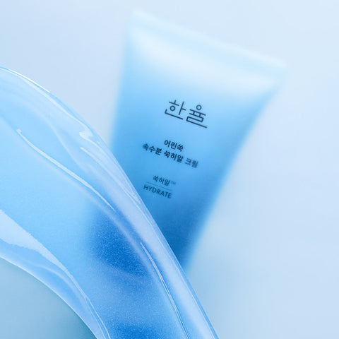 Hanyul Pure Artemisia Ssuk-Hyal Cream 60ml Set
