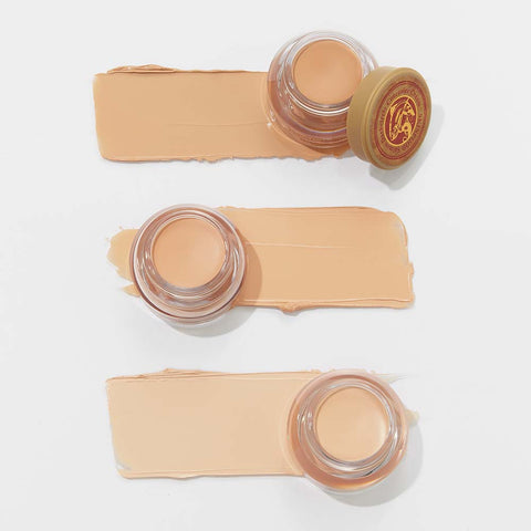 Skinfood Salmon Dark Circle Concealer 10g