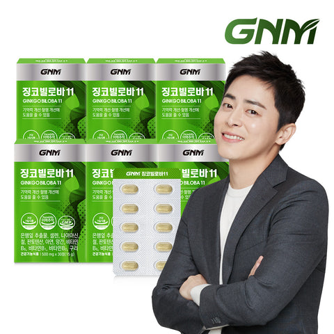 GNM Ginkgo Biloba 11 (6 Pack) - Ginkgo Leaf Extract with B Vitamins, Zinc & Pantothenic Acid