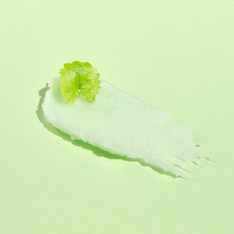 Papa Recipe Real Centella Cica Airy Matte Sebum Sun Stick 10g (2 Pack)