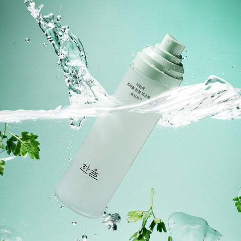 Hanyul Pure Artemisia Trouble Calming Mist 120ml