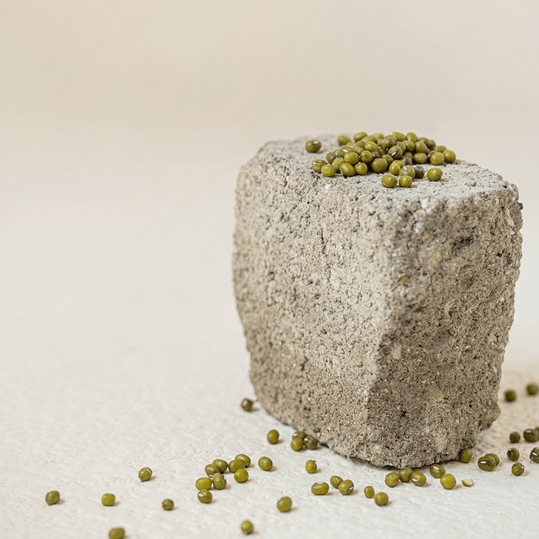 Block of gray material with green seeds on a light beige background