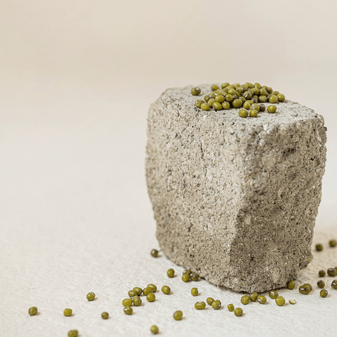 Block of gray material with green seeds on a light beige background