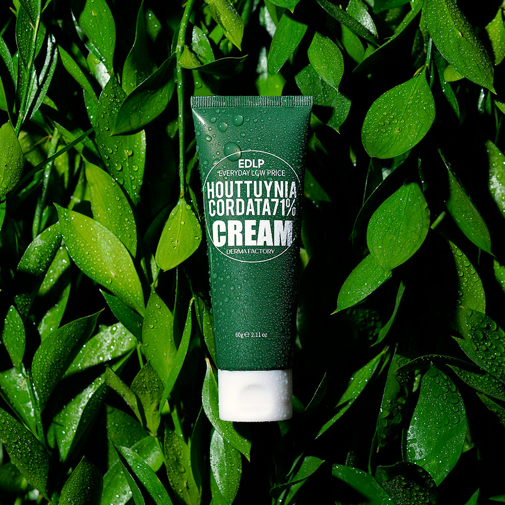 Derma Factory EDLP Houttuynia 71% Moisturizing Cream 60g