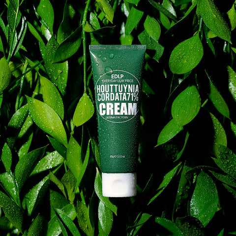 Derma Factory EDLP Houttuynia 71% Moisturizing Cream 60g