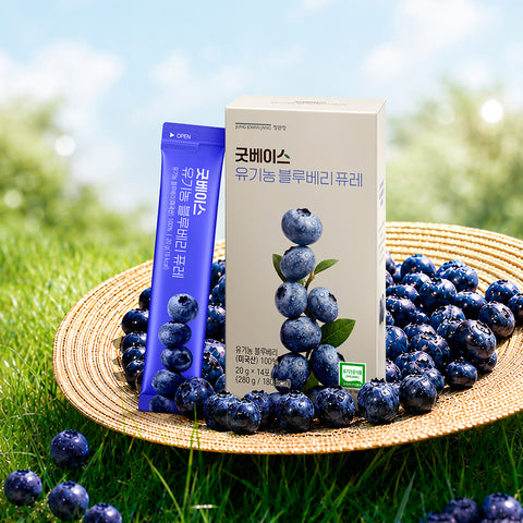 JungKwanJang Good Base Organic Blueberry Puree 20g x 14 sachets (Product of USA)